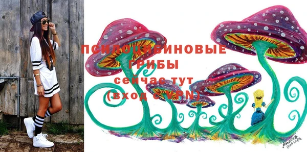 хмурый Сосновоборск